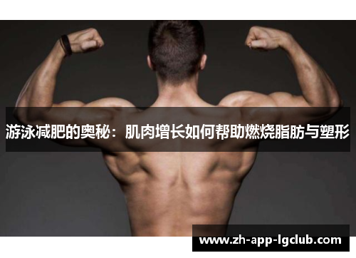 游泳减肥的奥秘：肌肉增长如何帮助燃烧脂肪与塑形