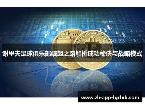谢里夫足球俱乐部崛起之路解析成功秘诀与战略模式 谢里夫足球俱乐部崛起之路解析成功秘诀与战略模式