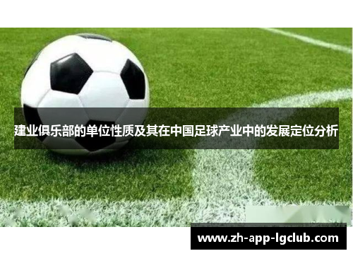 建业俱乐部的单位性质及其在中国足球产业中的发展定位分析 建业俱乐部的单位性质及其在中国足球产业中的发展定位分析
